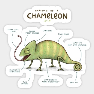 Anatomy of a Chameleon Sticker